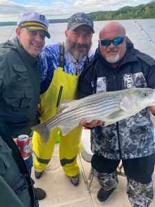 Big Striper on the Hudson River.